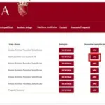 SICER condono edilizio Roma